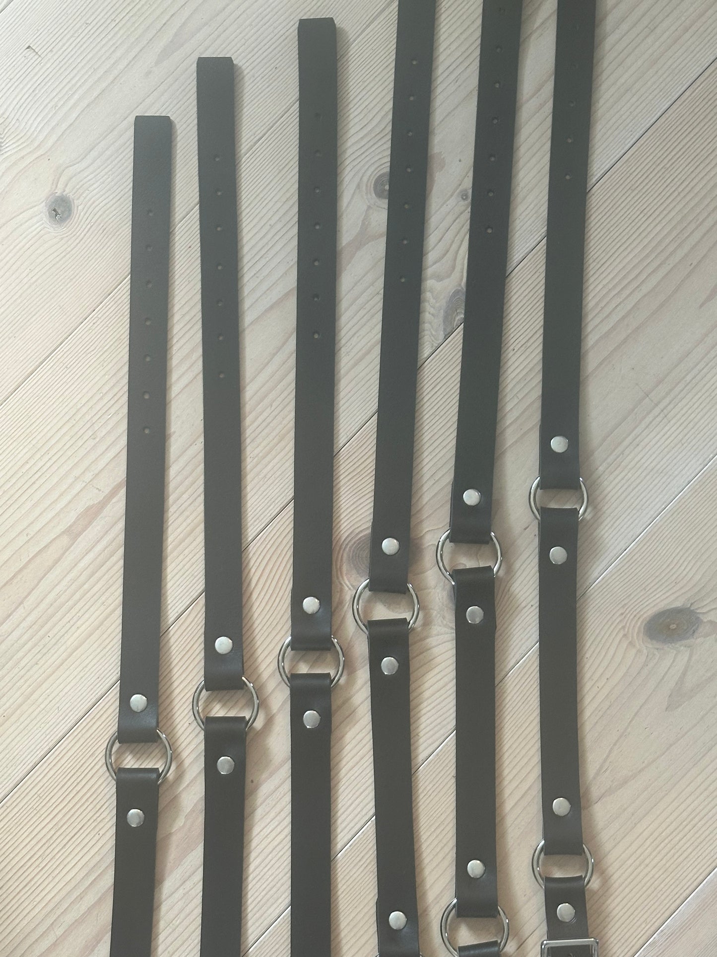 Halsrem til får/vædder (to ringe)